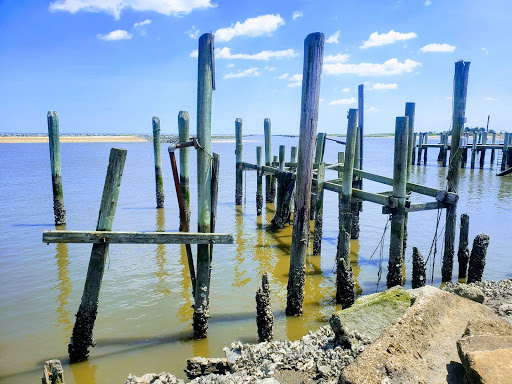 Nature Preserve «DuPont Nature Center», reviews and photos, 2992 Lighthouse Rd, Milford, DE 19963, USA