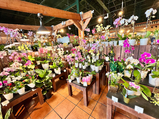 Grocery Store «The Fresh Market», reviews and photos, 18299 Biscayne Blvd, Aventura, FL 33160, USA