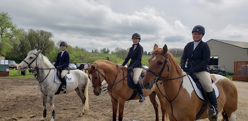 Fox Hill Equestrian