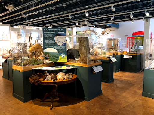 Natural History Museum «George B. Dorr Museum of Natural History», reviews and photos, 105 Eden St, Bar Harbor, ME 04609, USA