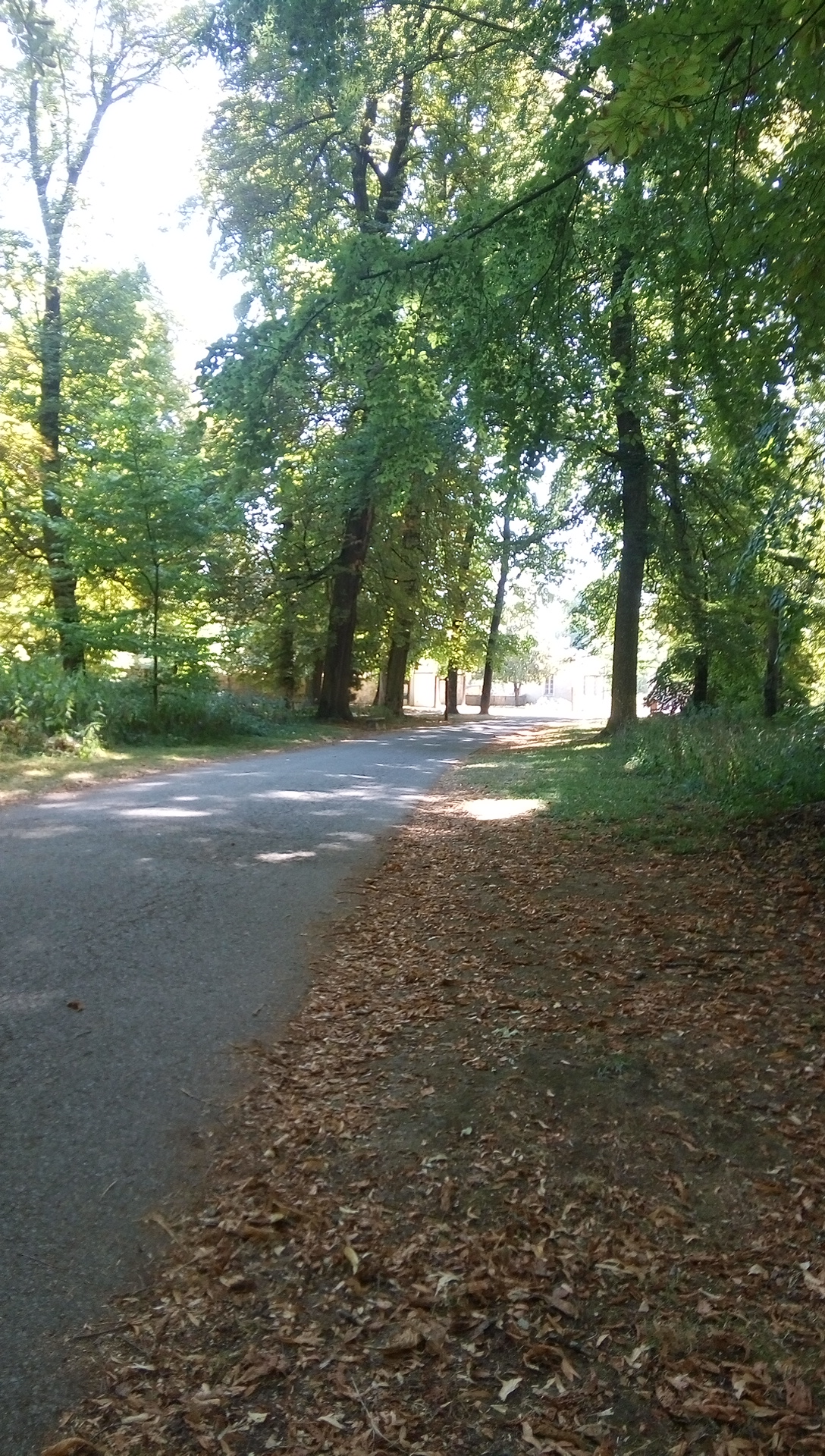 Photo n° 2 de l'avis de David.a fait le 23/07/2019 à 08:49