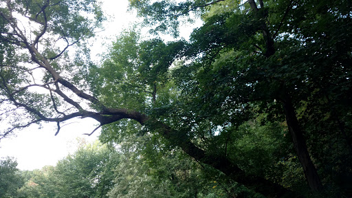 Golf Club «Leewood Golf Club», reviews and photos, 1 Leewood Dr, Eastchester, NY 10709, USA