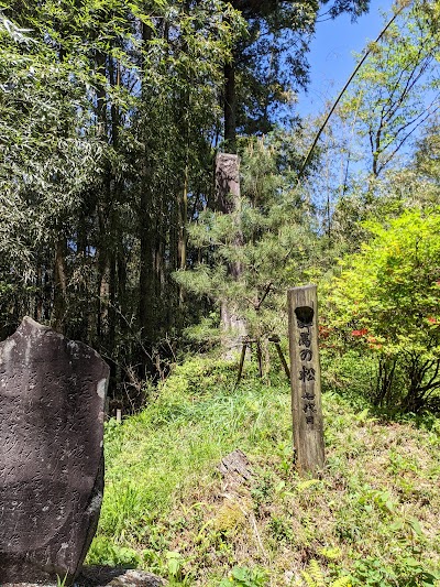 霊木 群馬の松