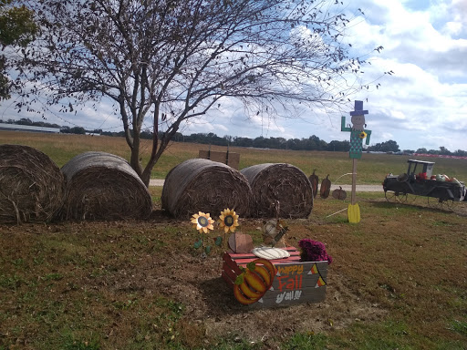 Farm Springfield