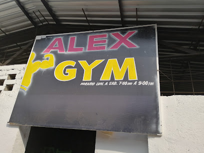Alex's Gym