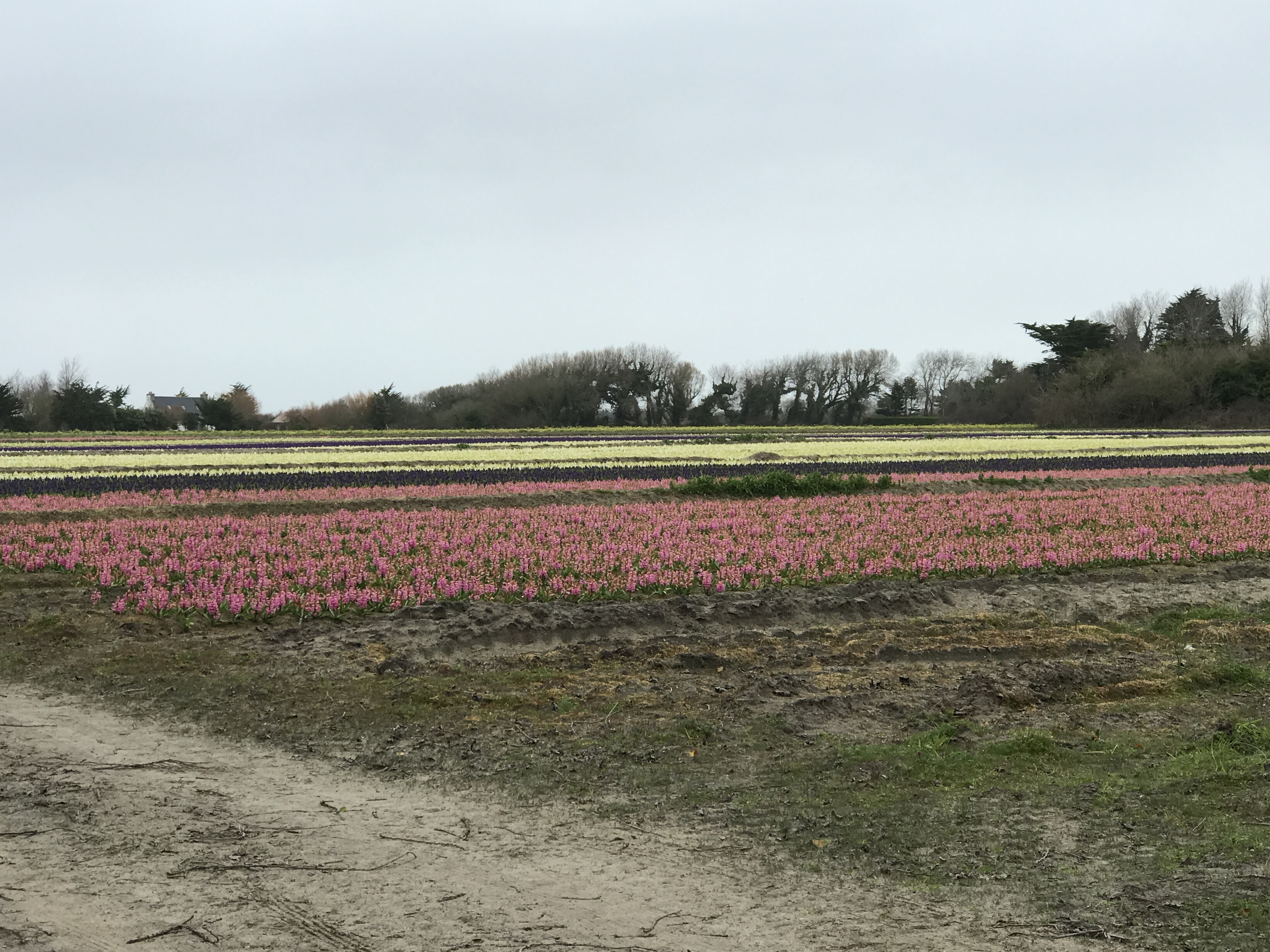 Photo n° 8 de l'avis de Jean-Marie.U fait le 11/03/2022 à 10:42