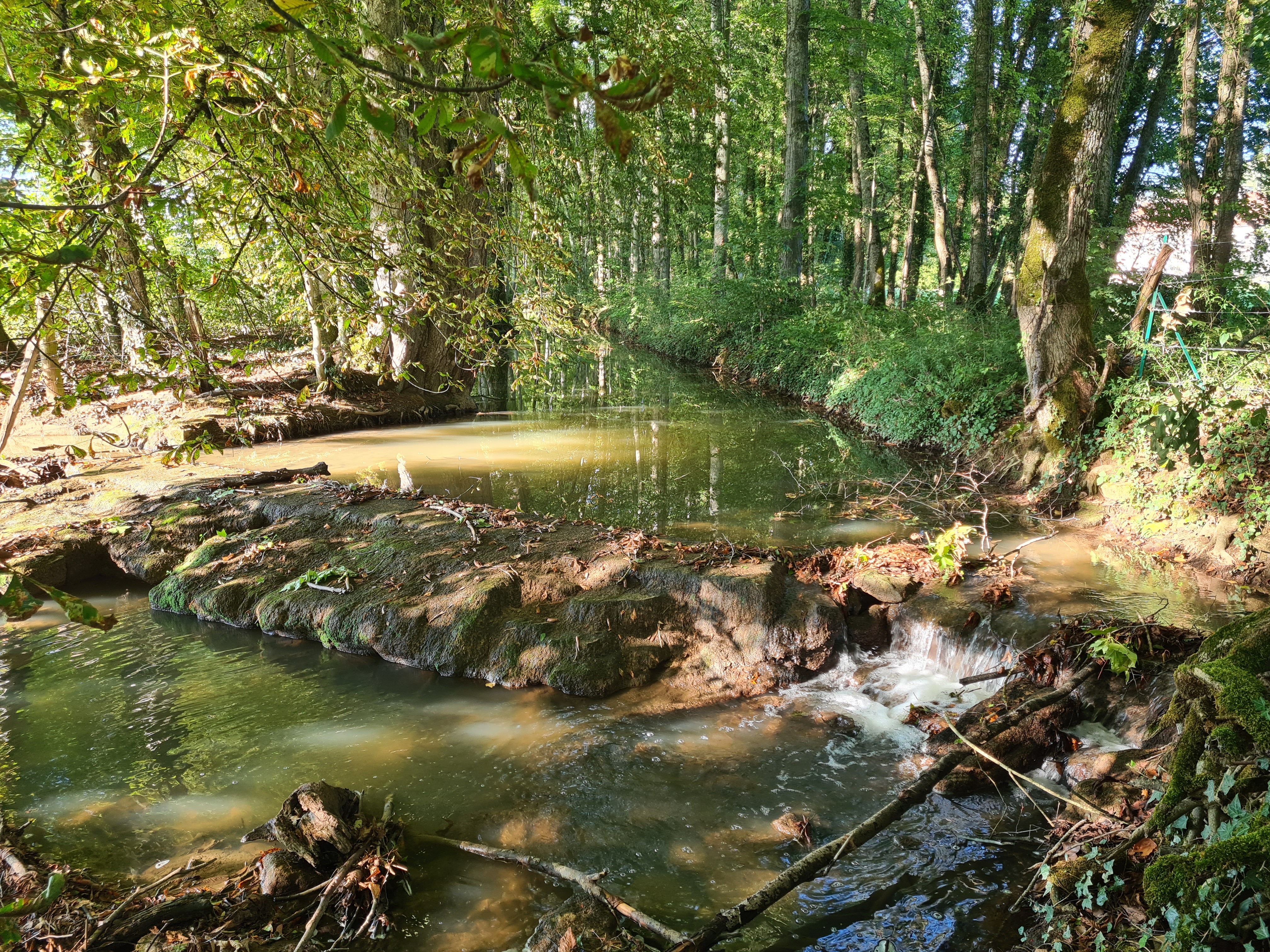 Photo n° 3 de l'avis de GUILL.E fait le 04/09/2022 à 22:57