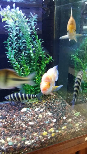 Pet Supply Store «Paws & Claws & Co», reviews and photos, 1801 E Market St, Warsaw, IN 46580, USA