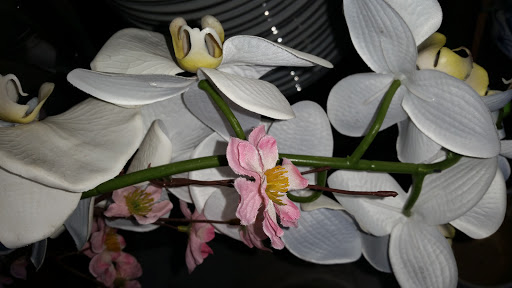 Thrift Store «Thrift Store», reviews and photos, Lafayette St, Santa Clara, CA 95050, USA