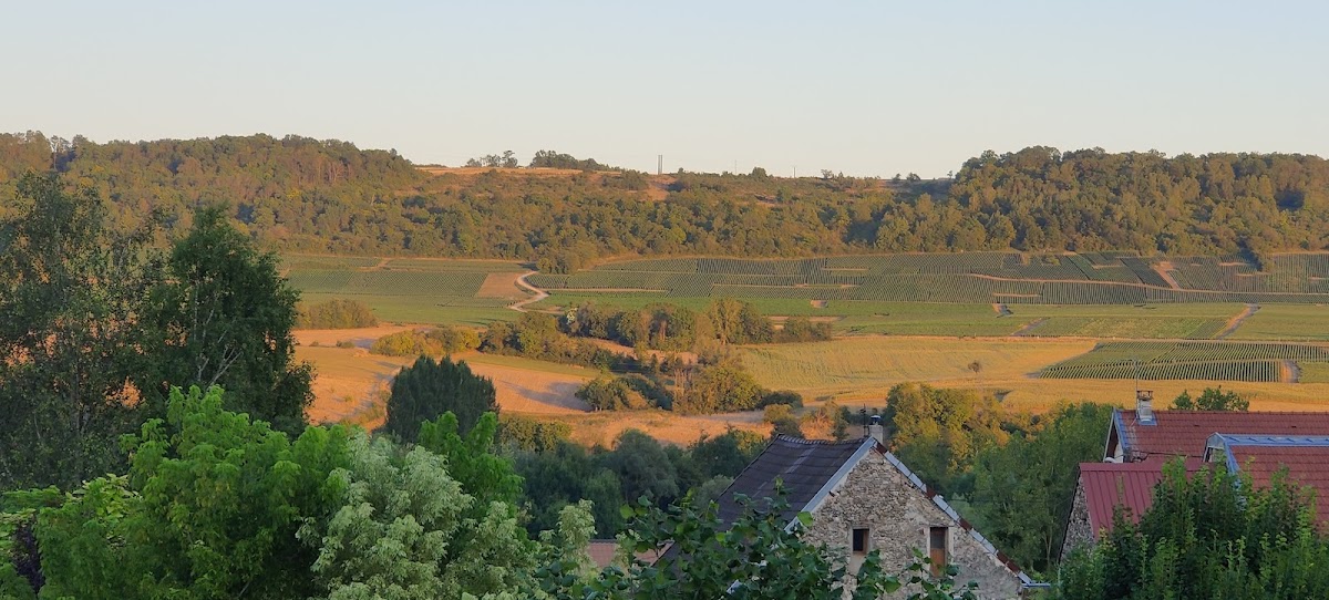 Maison Vigneronne en Champagne à Trélou-sur-Marne (Aisne 02)