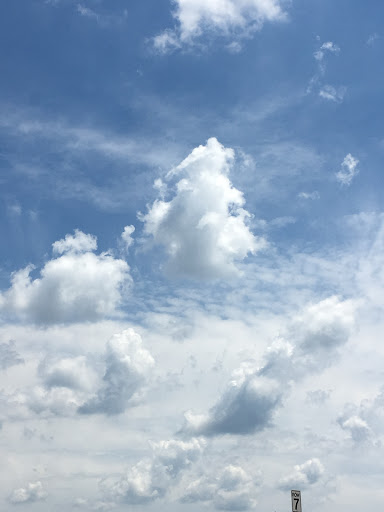 Department Store «Walmart Supercenter», reviews and photos, 610 Wesley Dr, Wood River, IL 62095, USA