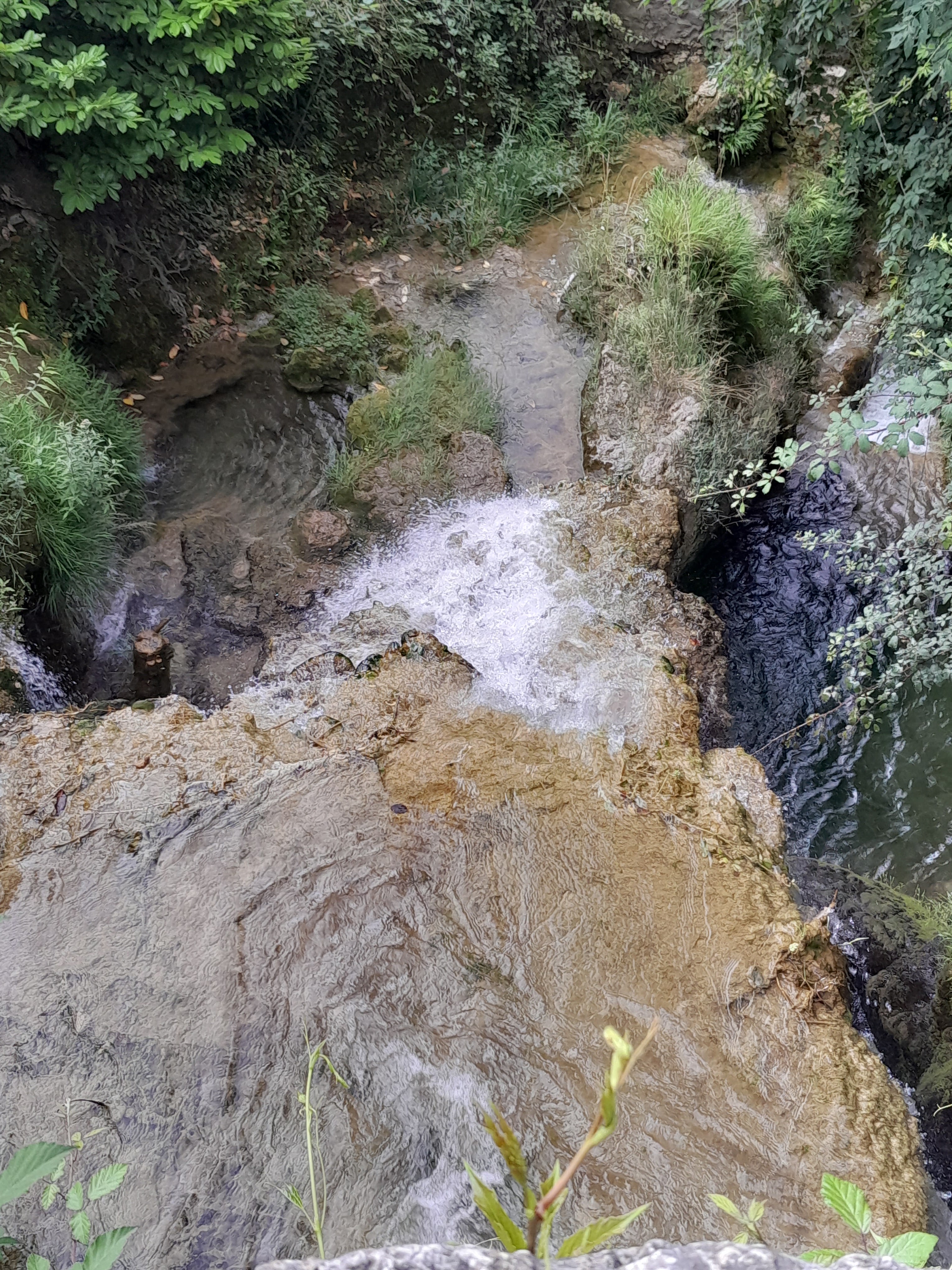 Photo n° 2 de l'avis de Grenouille.e fait le 16/07/2023 à 13:58
