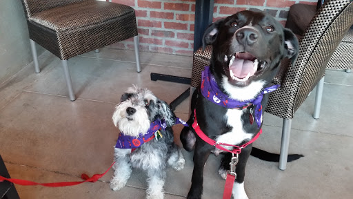 Wine Bar «Kent & Co. Wines», reviews and photos, 1101 W Magnolia Ave, Fort Worth, TX 76104, USA