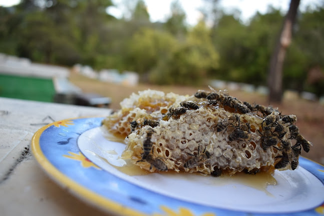Μέλι Οικογένεια Μπέση