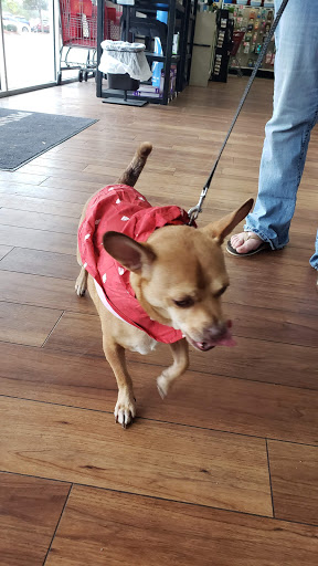 Pet Supply Store «Pet Supermarket», reviews and photos, 145 Palm Bay Rd NE, West Melbourne, FL 32904, USA