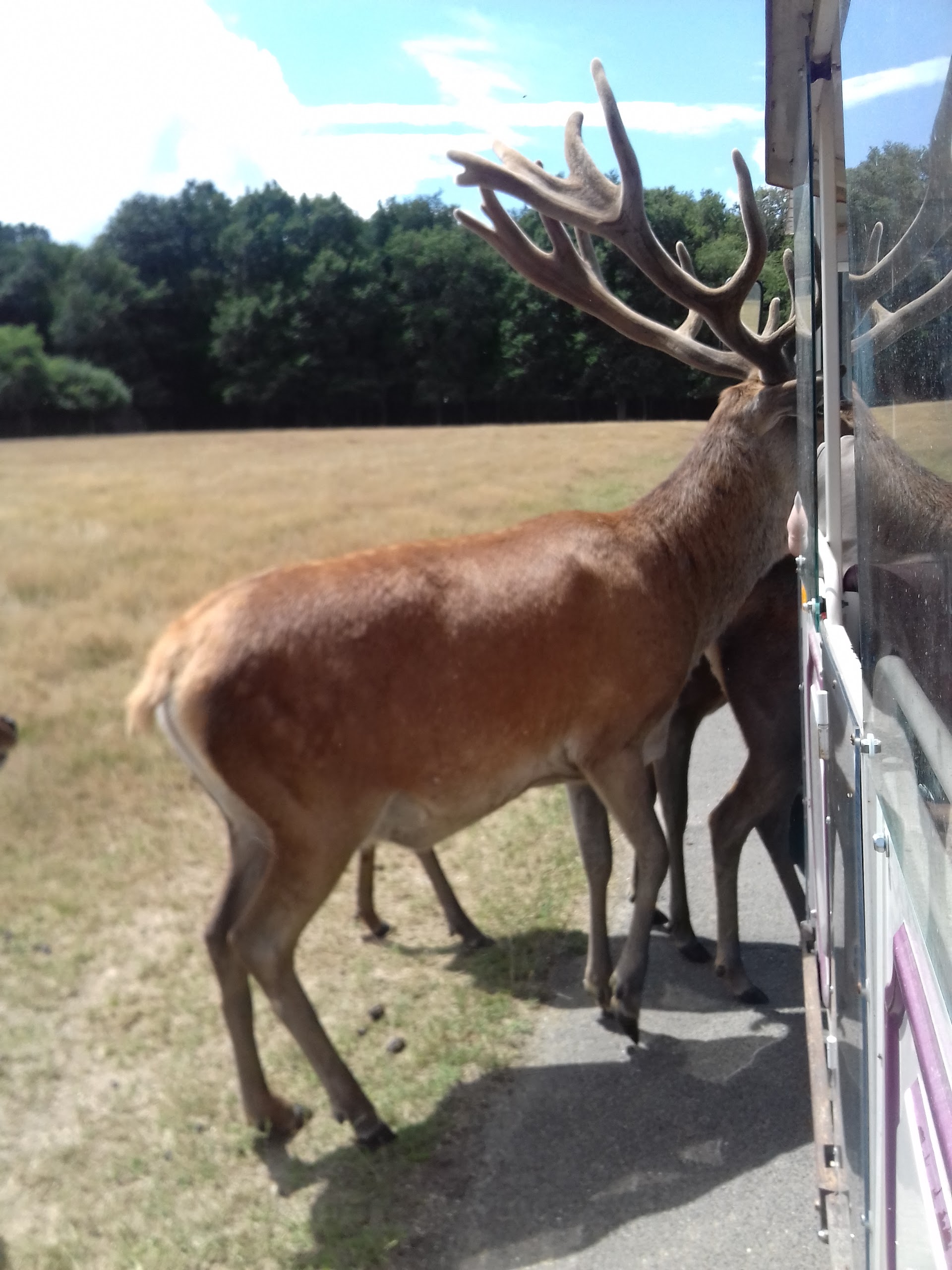 Photo n° 1 de l'avis de Gersende.e fait le 11/07/2017 à 18:28
