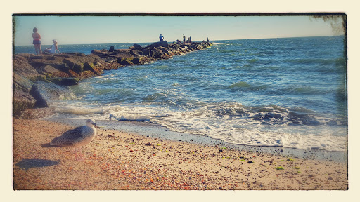 Nature Preserve «Meigs Point Nature Center», reviews and photos, 1288 Boston Post Rd, Madison, CT 06443, USA