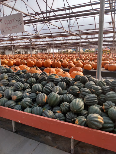 Winery «Saint Croix Vineyards», reviews and photos, 6428 Manning Ave N, Stillwater, MN 55082, USA