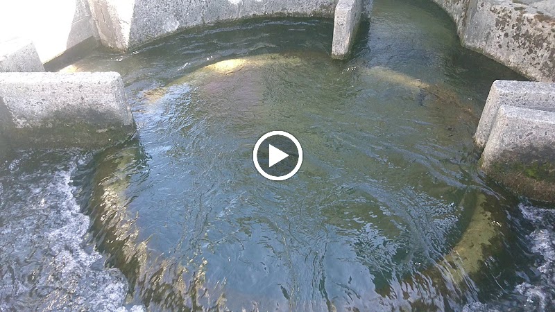 新江幹線砂山揚水機場の円筒分水