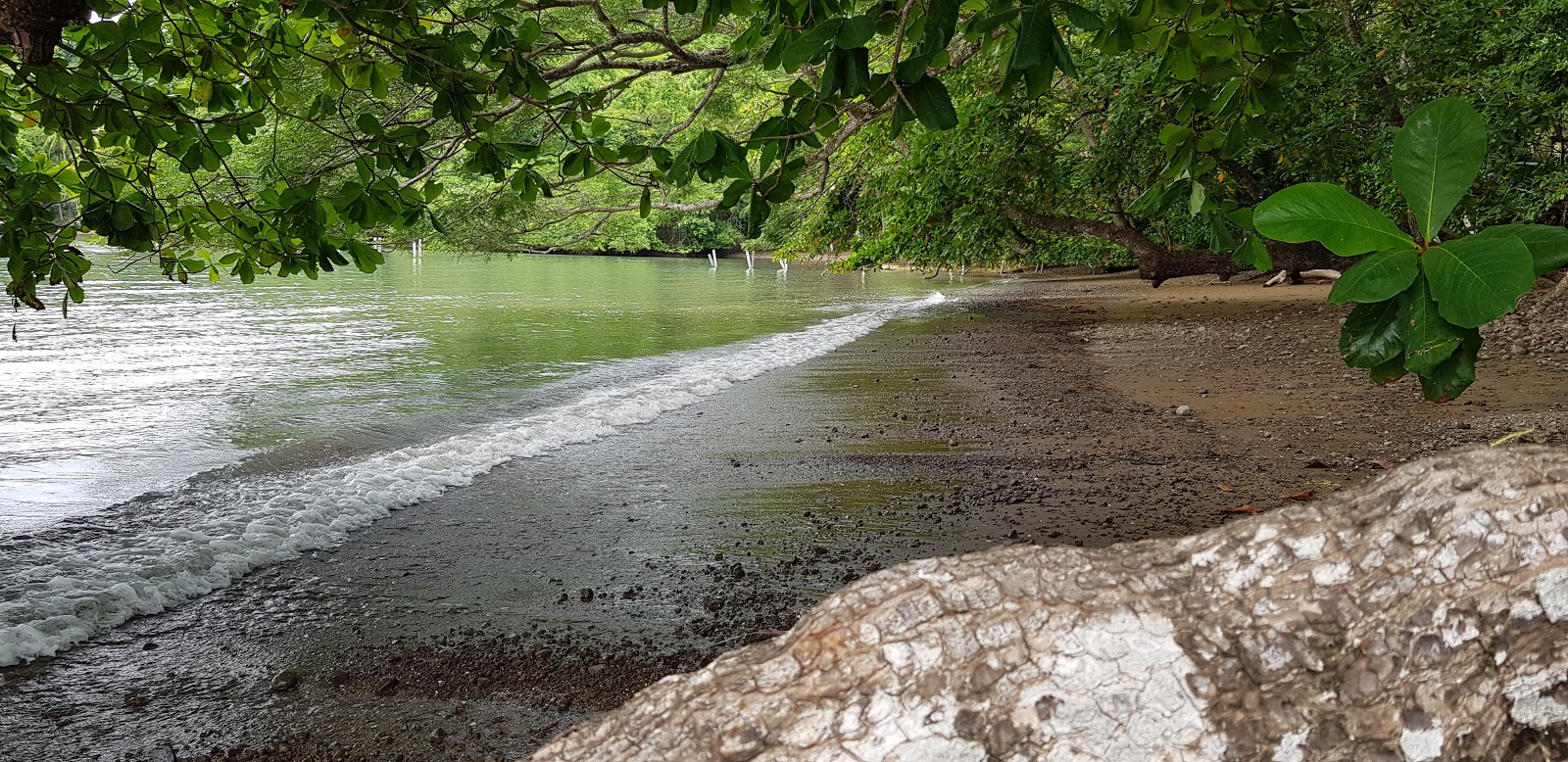 Foto di Panama Beach con una superficie del acqua turchese