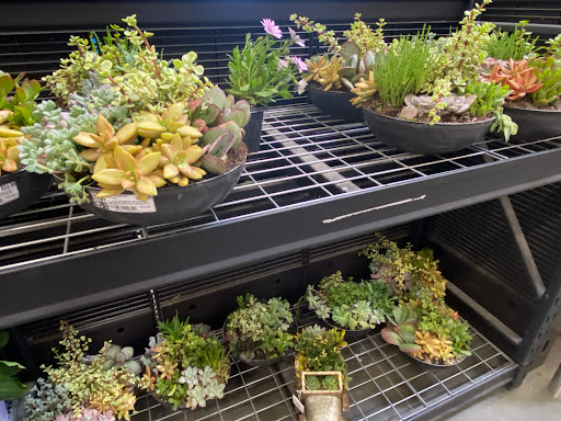 Home Improvement Store «The Home Depot», reviews and photos, 2707 S Towne Ave, Pomona, CA 91766, USA