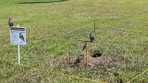 Park «Plantation Heritage Park», reviews and photos, 1100 S Fig Tree Ln, Plantation, FL 33317, USA