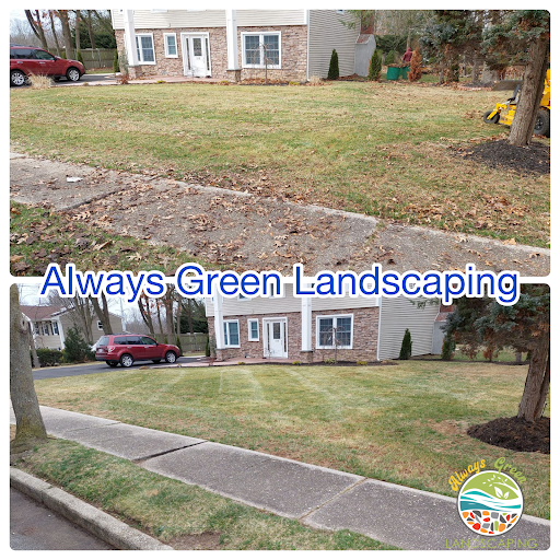 Always Green Landscaping Inc image 10