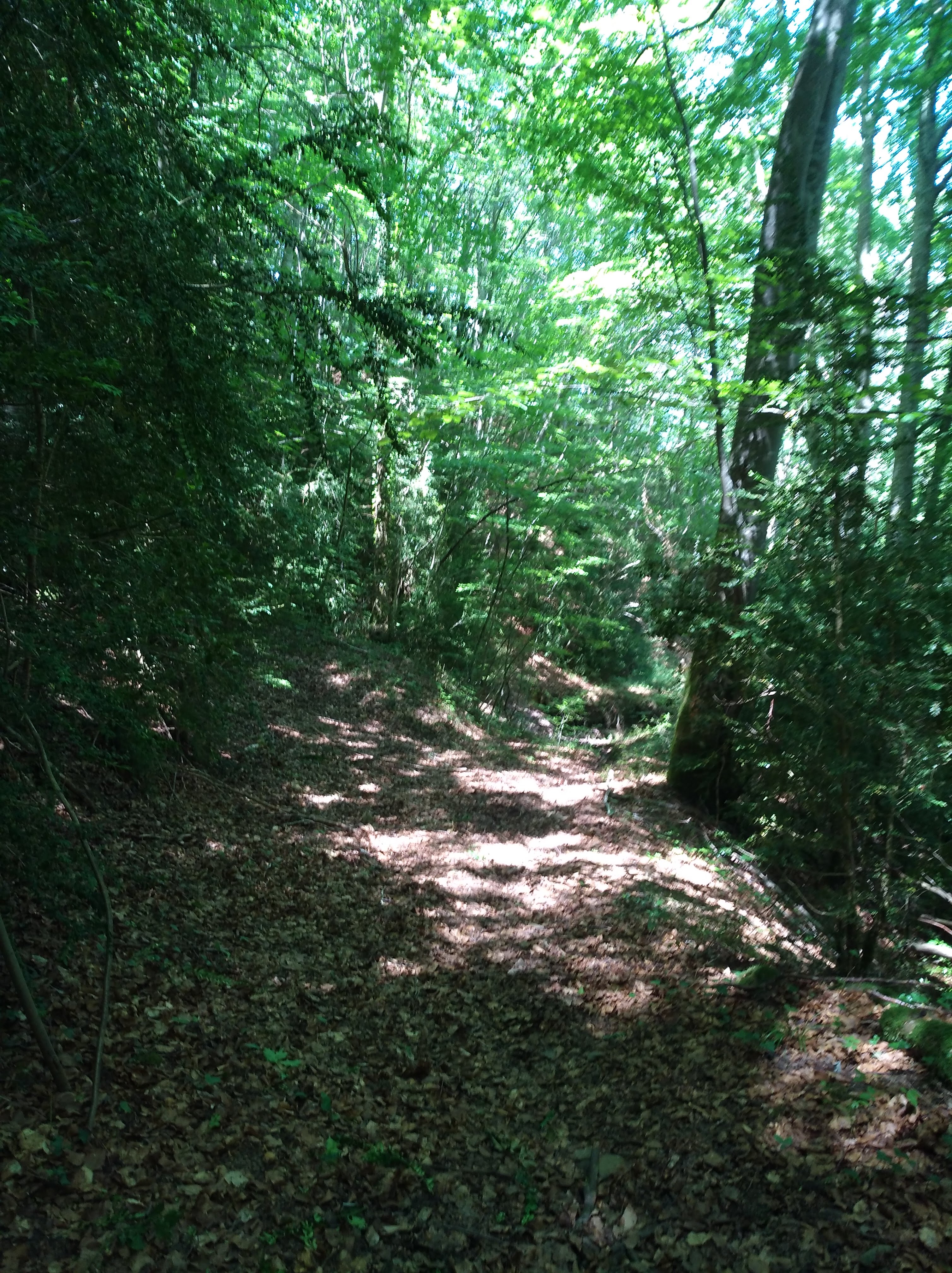 Photo n° 18 de l'avis de Nadine.o fait le 17/07/2018 à 15:02