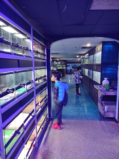 Pet Store «Lebanon Pet & Aquarium Center», reviews and photos, 196 S Main St, West Lebanon, NH 03784, USA