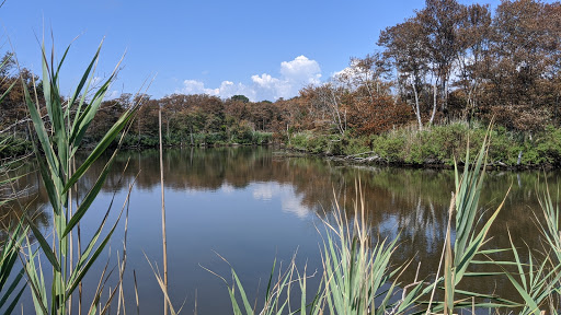 Nature Preserve «Seatuck Environmental Association», reviews and photos, 550 S Bay Ave, Islip, NY 11751, USA