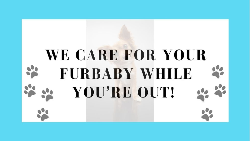 FurBaby Walks, LLC