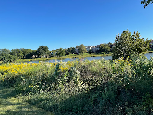 Park «Springfield Park», reviews and photos, 269 Springfield Dr, Bloomingdale, IL 60108, USA