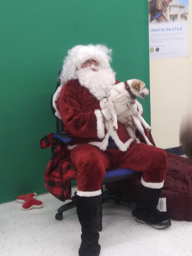 Pet Supply Store «Petco Animal Supplies», reviews and photos, 3300 Broadway St, Eureka, CA 95501, USA