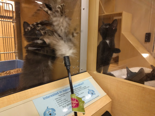 Pet Supply Store «PetSmart», reviews and photos, 160 Alewife Brook Pkwy, Cambridge, MA 02138, USA