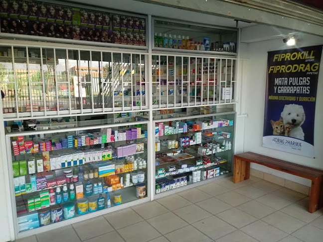 Opiniones de Farmacias Torres en La Pintana - Farmacia