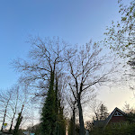 Photo n°3 de l'avis de Y. fait le 20/04/2023 à 11:21 sur le  Ententurm à Steinhagen