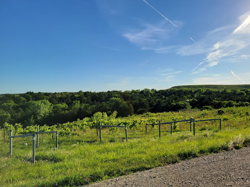 Winery «Liquid Art Winery And Estate», reviews and photos, 1745 Wildcat Creek Rd, Manhattan, KS 66503, USA