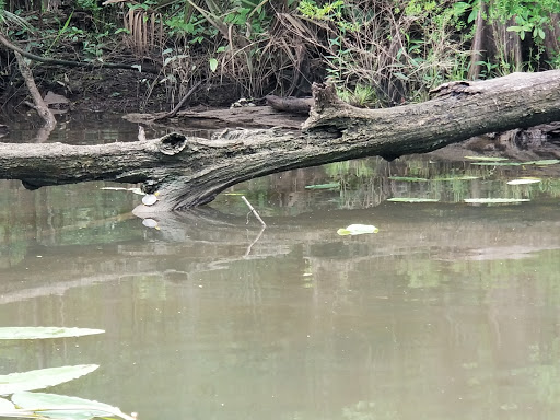 Fishing Camp «Becks Lake Fish Camp», reviews and photos, 2020 Becks Lake Rd, Cantonment, FL 32533, USA