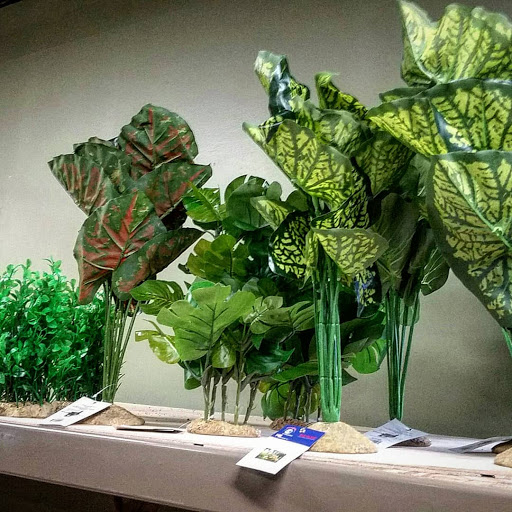 Pet Store «Gills And Thrills Pet Shop», reviews and photos, 204 E 8th St, Lockport, IL 60441, USA