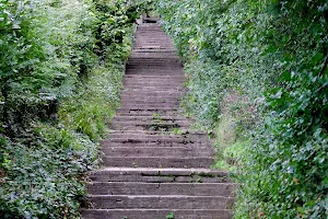 Turul lépcső /Stairway to Turul Bird image