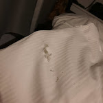 Photo n°1 de l'avis de Andreas.s fait le 19/08/2023 à 14:47 sur le  Landhotel Gustav à Beelitz