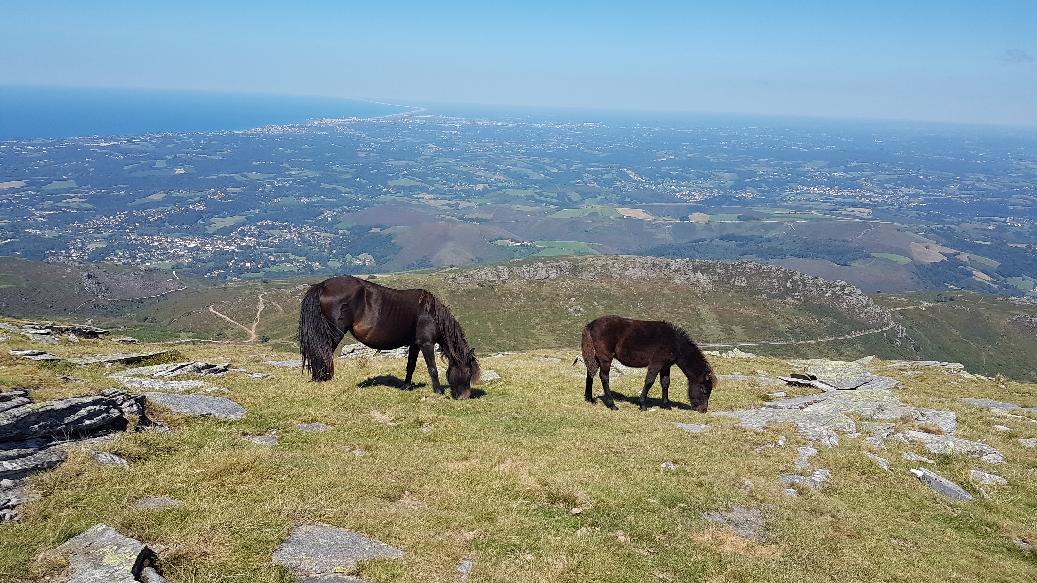 Photo n° 1 de l'avis de T.a fait le 29/08/2021 à 13:31