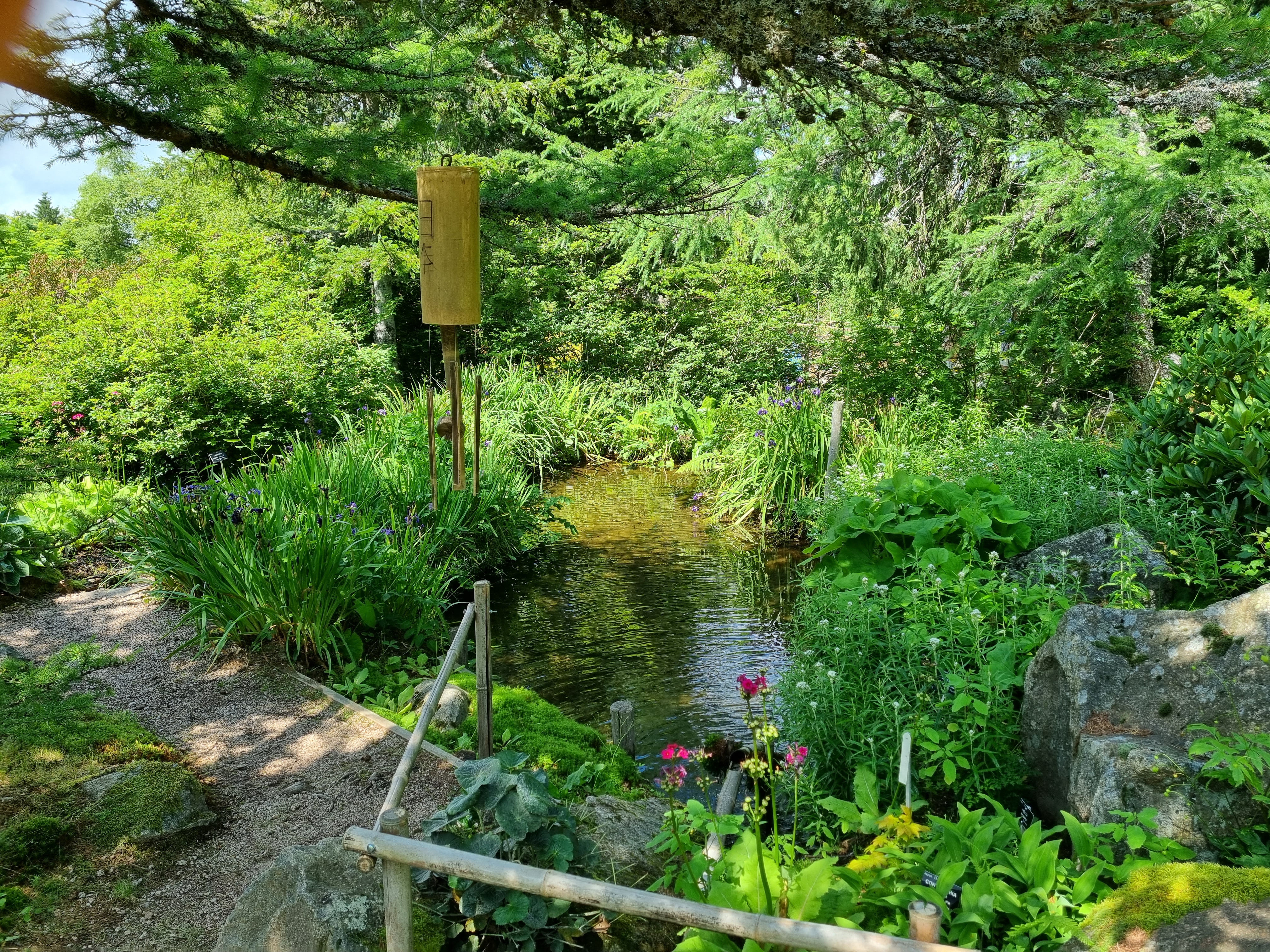 Photo n° 4 de l'avis de Jean.i fait le 26/07/2021 à 19:26