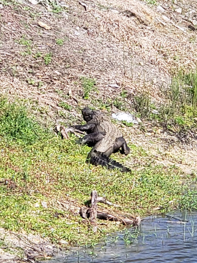 Golf Club «Stoneybrook Golf Club», reviews and photos, 21251 Stoneybrook Golf Blvd, Estero, FL 33928, USA