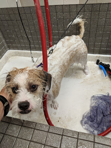 Pet Supply Store «Pet Food Express», reviews and photos, 609 San Ramon Valley Blvd, Danville, CA 94526, USA