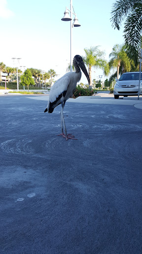 Marina «Sunrise Fish Dive Surf», reviews and photos, 505 Glen Cheek Dr, Port Canaveral, FL 32920, USA