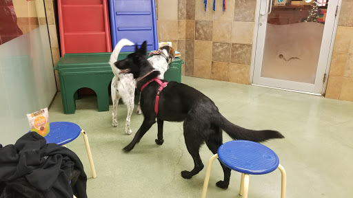 Pet Supply Store «PetSmart», reviews and photos, 9277 159th St, Orland Hills, IL 60487, USA