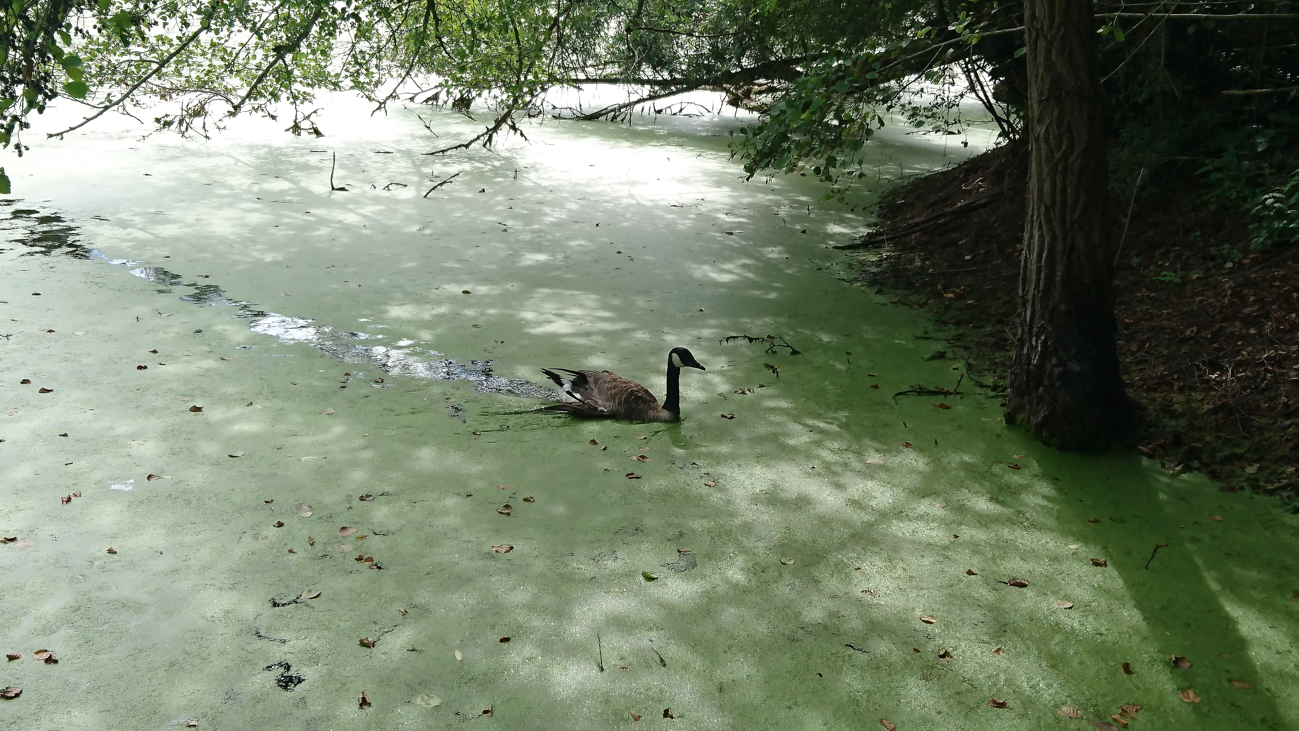 Photo n° 3 de l'avis de Marie-Christine.o fait le 12/08/2018 à 16:59