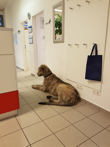 Tierarztpraxis Dr.med.vet. Gisela Haverkamp unter Herne, 