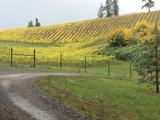 Winery «Noble Estate Vineyard and Winery», reviews and photos, 29210 Gimpl Hill Rd, Eugene, OR 97402, USA